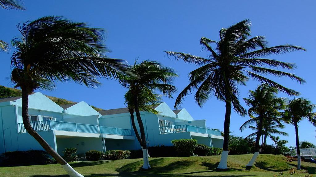 Timothy Beach Resort Frigate Bay Bilik gambar